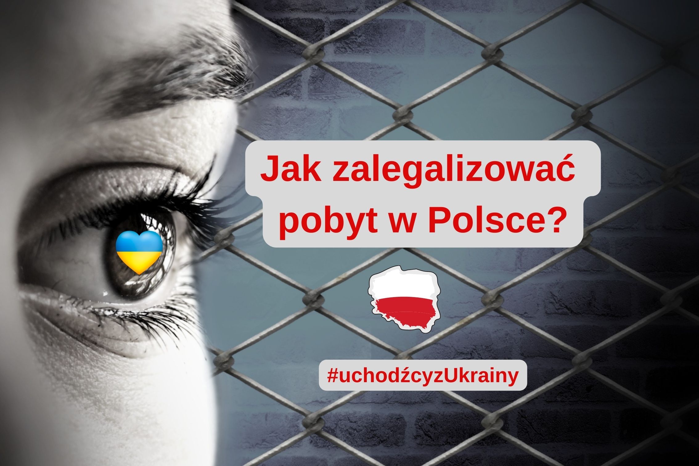Ukraińcy w Polsce: jak zalegalizować pobyt w Polsce?