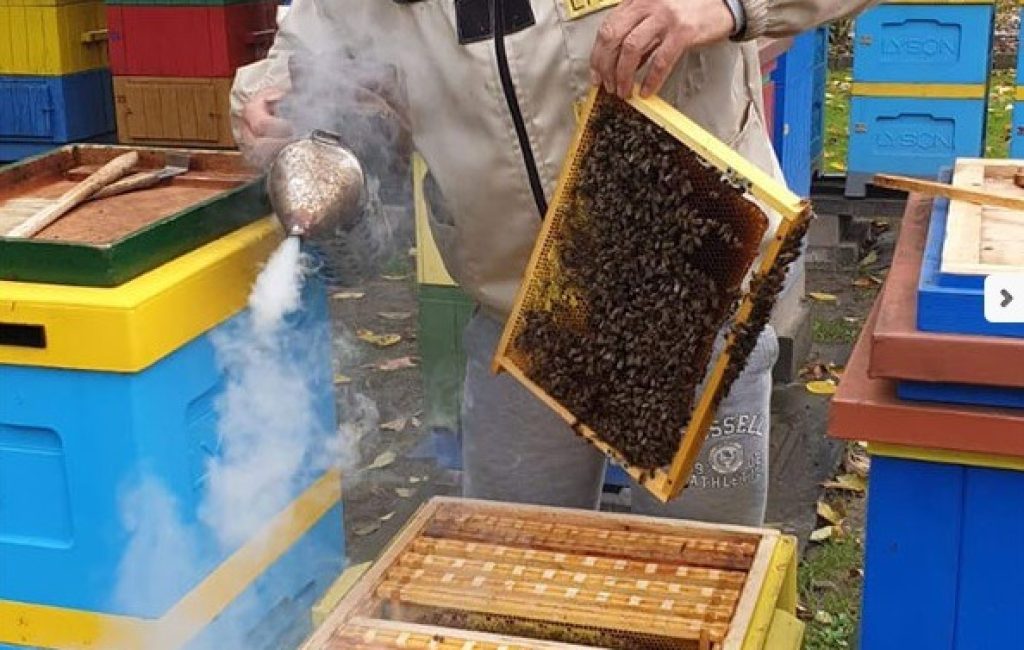 Leszek Szweda, pszczelarz z Żor włącza się do akcji firmy Pajmon